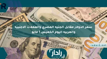 سعر الدولار مقابل الجنيه المصري والعملات الأجنبية والعربية اليوم الخميس 1 مايو